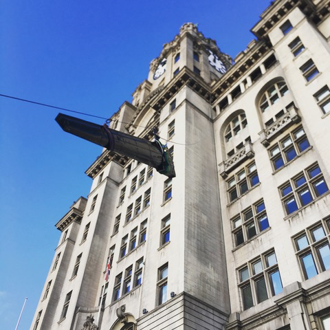 Liver Building